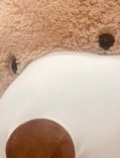 シークレット(24)